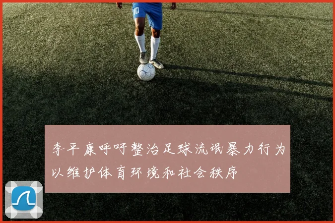 李平康呼吁整治足球流氓暴力行为以维护体育环境和社会秩序